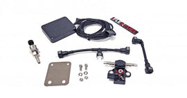 Delicious Tuning 15-21 WRX Flex Fuel Kit