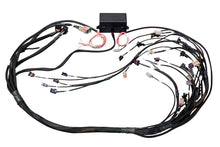 Load image into Gallery viewer, Haltech GM GEN IV LSX (LS2/LS3) DBW Ready Elite 2500 Terminated Harness w/EV1 Injector Connectors