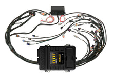 Load image into Gallery viewer, Haltech Elite 2500 Terminated Harness ECU Kit w/ EV1 Injector