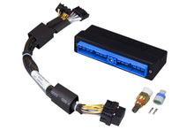 Load image into Gallery viewer, Haltech Nissan Patrol/Safari Y60/Y61 (TB45E Only) Elite 750 Plug-n-Play Adaptor Harness